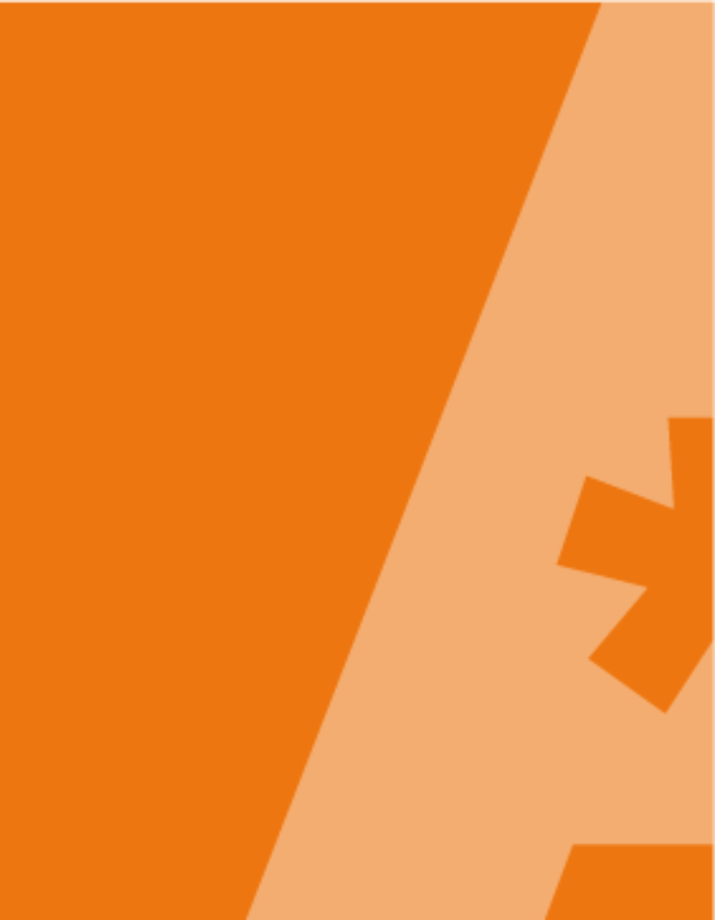 450€ + IVA 450€ + IVA