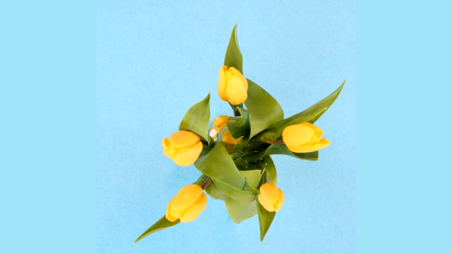 COME COSTRUIRE UN CENTROTAVOLA CON TULIPANI
