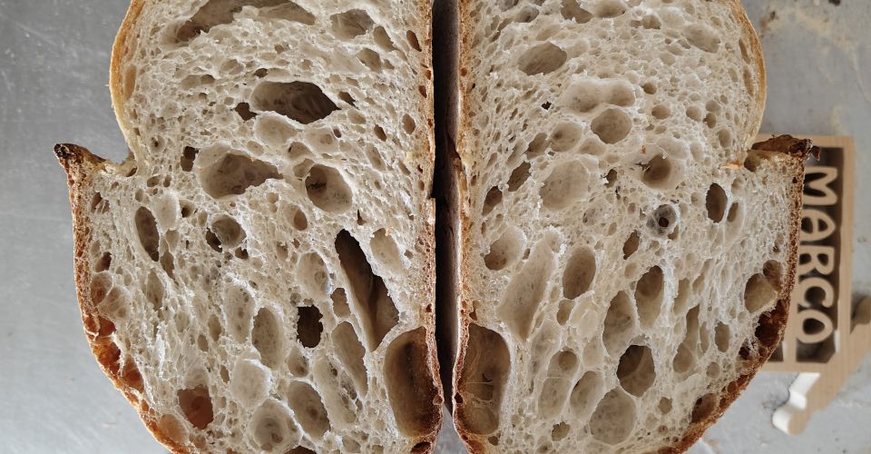 PANE